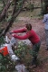 gal/Finale_paca_2005/_thb_mini-DSC_0141.JPG