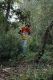 gal/Finale_paca_2005/_thb_mini-DSC_0147.JPG
