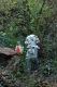 gal/Finale_paca_2005/_thb_mini-DSC_0192.JPG