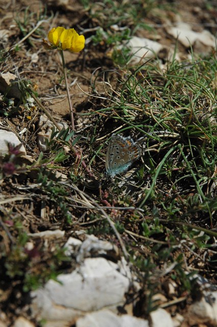 gal/Raid_Alpazur/mini-DSC_0115.JPG